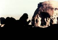 Кадр 2001 год: Космическая одиссея