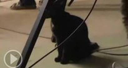 Видео со съёмок (часть 5)