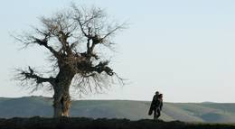 Кадр из фильма "Двуногий конь" - 2