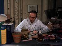 Кадр Существо в корзине