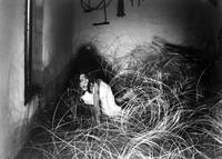 Кадр Суспирия