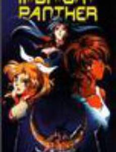 Midnight Panther
