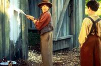 Кадр Приключения Тома Сойера