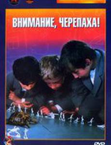 Внимание, черепаха!