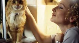 Кадр из фильма "Bangers" - 2