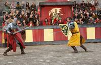 Кадр Мерлин