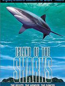 Остров акул