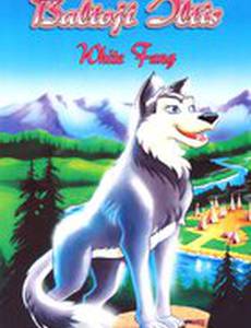 Белый клык (видео)