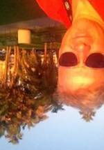 Шандор Шот фото