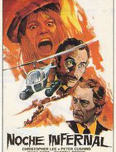 Только ночь