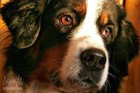 Кадр Счастливы вместе