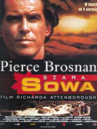 Постер Серая сова