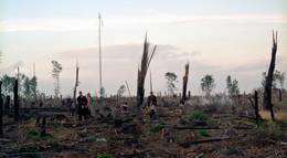 Кадр из фильма "Лоре" - 1