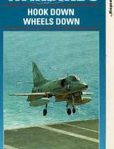 Военные птицы