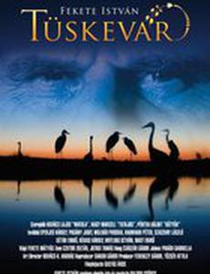 Терновая крепость