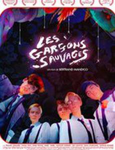 Дикие мальчишки