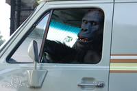 Кадр Охранник зоопарка