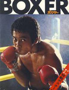 Боксер
