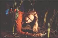 Кадр Ничего себе поездочка