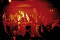 Кадр Красный какаду