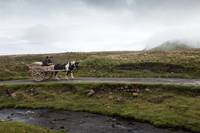 Кадр Зал Джимми