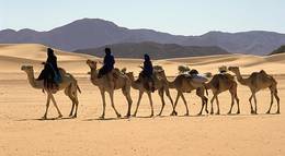 Кадр из фильма "Ässhäk - Geschichten aus der Sahara" - 1