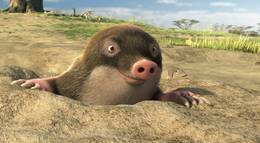 Кадр из фильма "Союз зверей" - 1