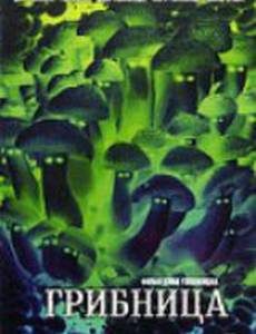 Грибница (видео)