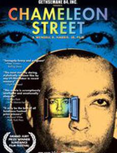 Улица хамелеонов