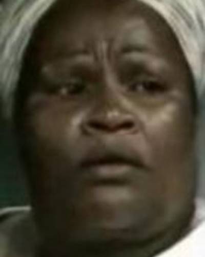 Зени Перейра фото