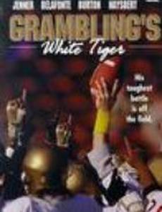 Grambling's White Tiger