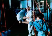 Кадр Снежок