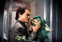 Кадр Гремлины 2: Новенькая партия