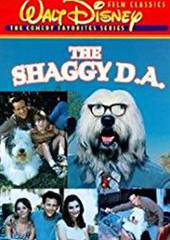 Лохматый пес