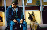 Кадр К-9 III: Частные детективы (видео)