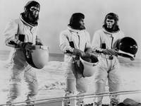 Кадр Бегство с планеты обезьян