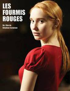 Красные муравьи