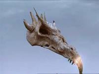 Кадр Путешествие единорога