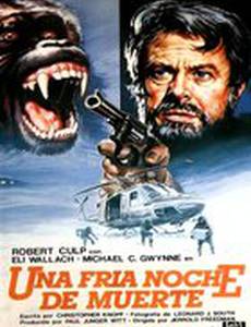 Смерть в холодную ночь