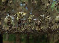 Кадр Мост в Терабитию