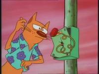 Кадр Котопес