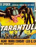 Постер из фильма "Тарантул" - 1