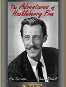 Приключения Гекльберри Финна