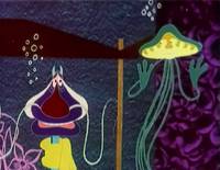 Кадр Обезьяна с острова Саругасима