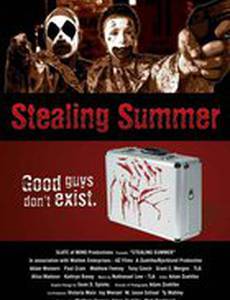 Stealing Summer