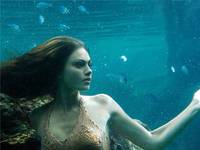 Кадр H2O: Просто добавь воды