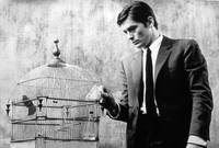 Кадр Самурай