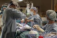 Кадр Анатомия страсти