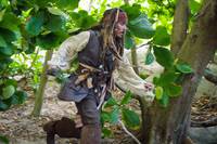 Кадр Пираты Карибского моря 4: На странных берегах