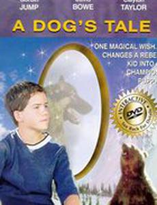 Собачья история